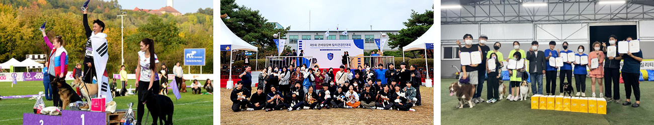 국국내외 독스포츠 대회에서 압도적인 수상 실적